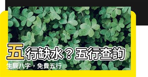 五行屬金水|免費生辰八字五行屬性查詢、算命、分析命盤喜用神、喜忌